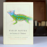 field notes 1