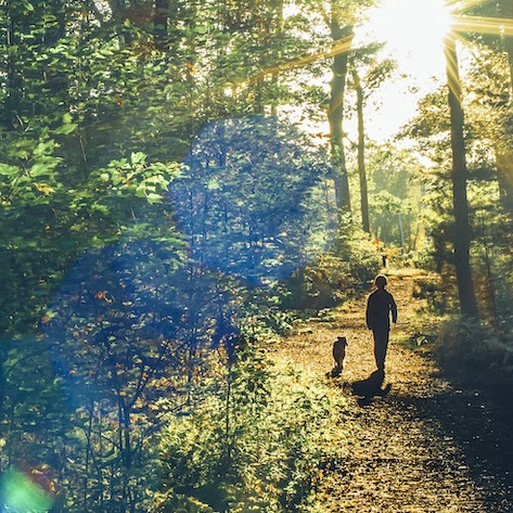 Boy walking with his dog in the woods into the sunset on a clear autumn day, natural lens flare, high ISO, toned image.