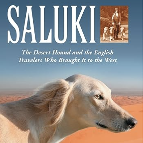 salukis 2