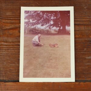 dog on lawn at Port Sandfield